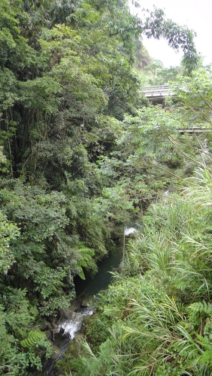 八通關古道從頭開始走(下)鄉道投56貫徹始終一條路走到底