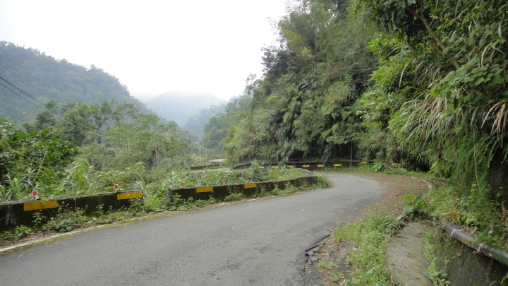 八通關古道從頭開始走(下)鄉道投56貫徹始終一條路走到底