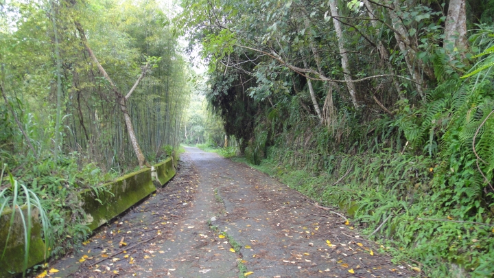 八通關古道從頭開始走(下)鄉道投56貫徹始終一條路走到底