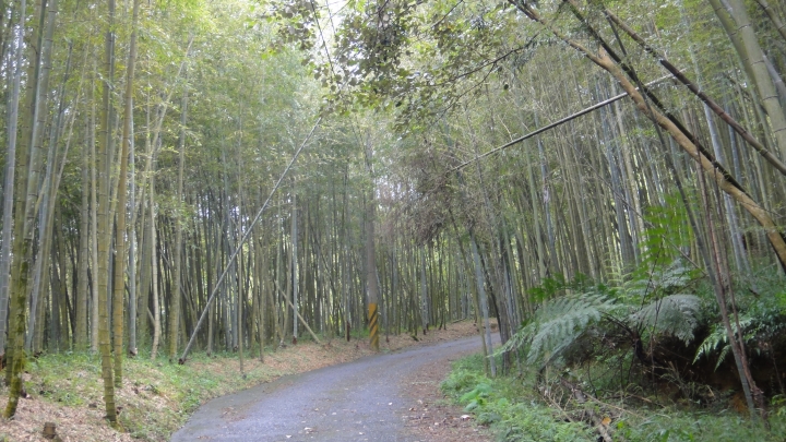 八通關古道從頭開始走(下)鄉道投56貫徹始終一條路走到底