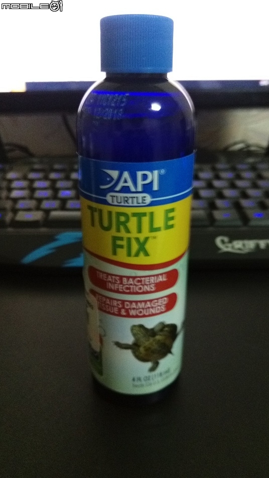 烏龜飼養生病疑問??