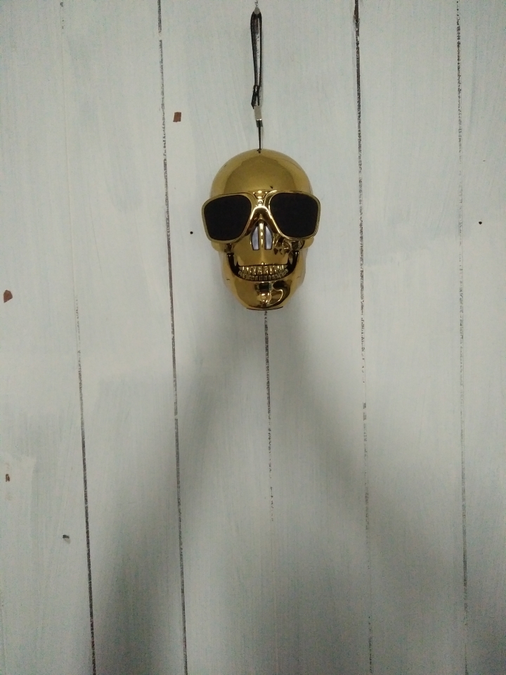 惡搞的藝術:AeroSkull XS開箱與心得