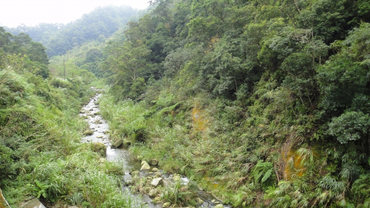 八通關古道從頭開始走(下)鄉道投56貫徹始終一條路走到底