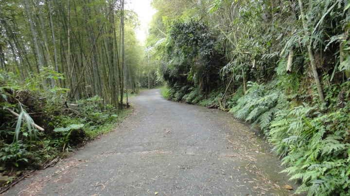 八通關古道從頭開始走(下)鄉道投56貫徹始終一條路走到底