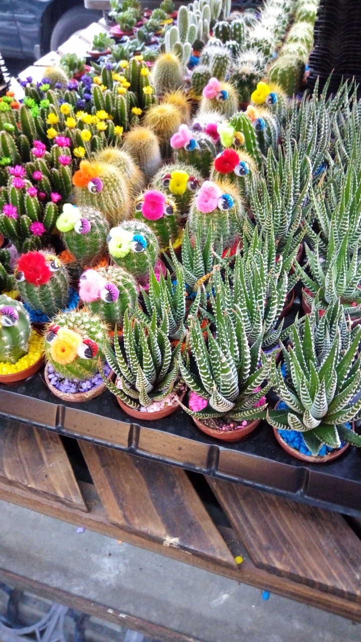 很滿意的中階機ASUS ZenFone 3 Max ZC520TL開箱