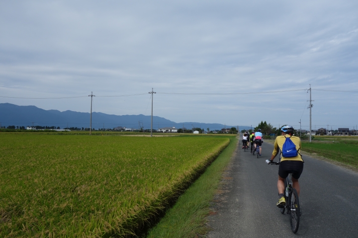 日本長篇,2016秋,滋賀環琵琶湖之旅,