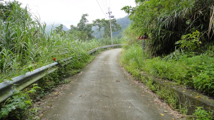 八通關古道從頭開始走(下)鄉道投56貫徹始終一條路走到底