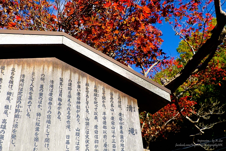 【京都楓.景】 近郊篇 (X-T1)