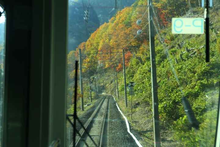 2016日本東北賞楓行(80D+EF17~40)