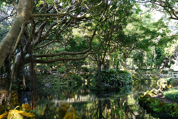 【獨家】Sony A99 II 實拍分享及極速試玩心得!