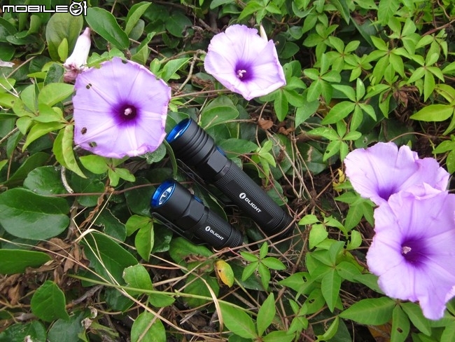 OLIGHT S10R III (16340) & S30R III (18650) 好用方便隨充EDC