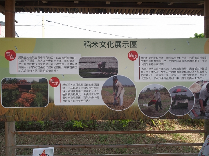 一起挺勵青,無米也快樂 — 《中華三菱,幸福返鄉,稻陣走》活動參加心得