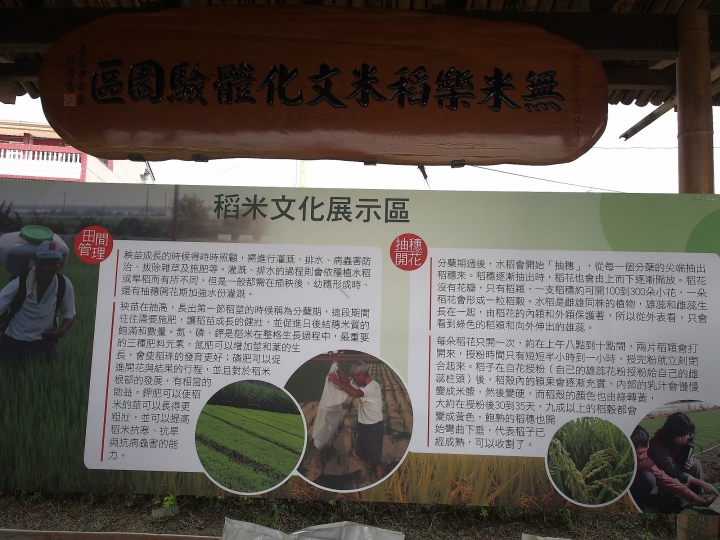 一起挺勵青,無米也快樂 — 《中華三菱,幸福返鄉,稻陣走》活動參加心得