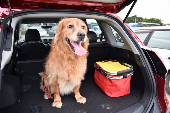 Colt plus喜悅開箱~