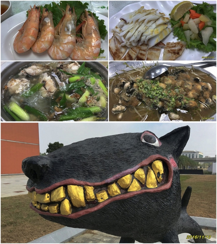 南科的小黑