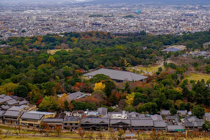 【京都楓.景】 近郊篇 (X-T1)
