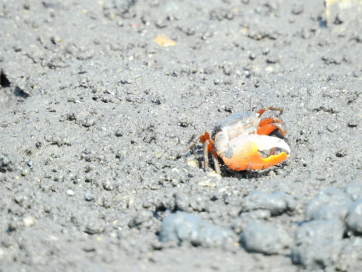 92也試:提供Luxgen S3車主油耗實測(定速50~120),發現似乎比95無鉛汽油稍省油。