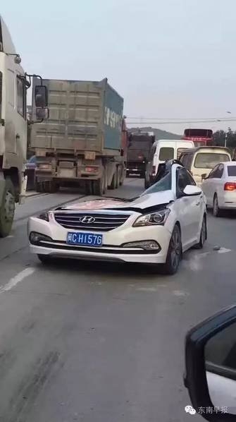 愛惜生命 遠離大貨車