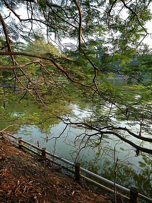 精煉鉑爵銀_SONY XZ