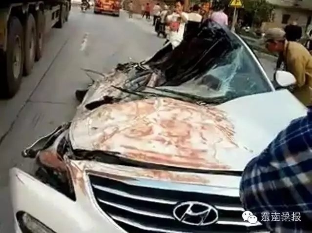 愛惜生命 遠離大貨車