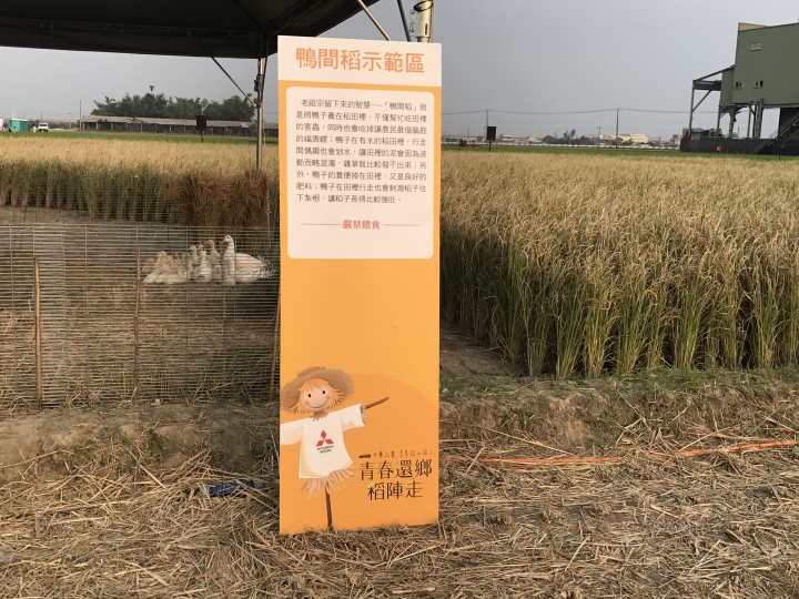 「中華三菱幸福返鄉稻陣走」之人犬半日遊