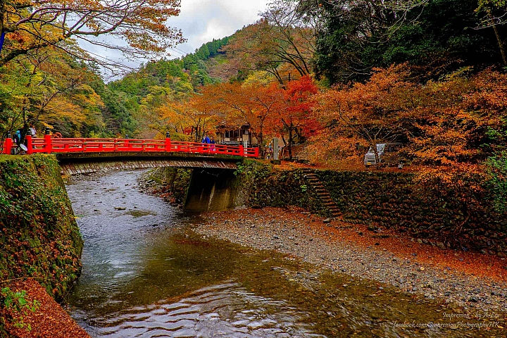 【京都楓.景】 近郊篇 (X-T1)