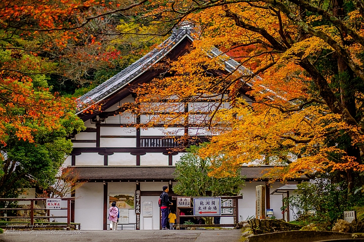 【京都楓.景】 市區篇 (X-T1)