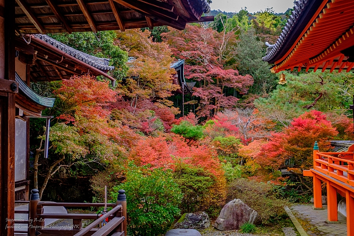 【京都楓.景】 市區篇 (X-T1)