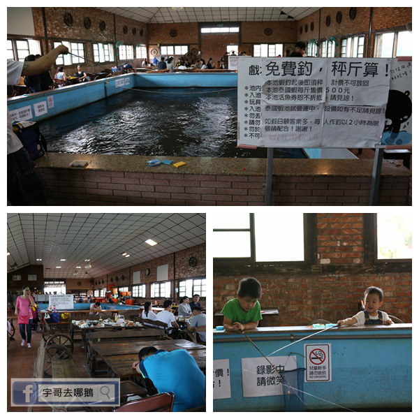 【宇哥去新竹】竹北的Go Bear溝貝親子休閒農莊,可釣蝦/釣魚/釣青蛙/餵兔子/滑草/玩沙坑/撈金魚/玩桌遊/烤肉/秤斤計價好適合小朋友