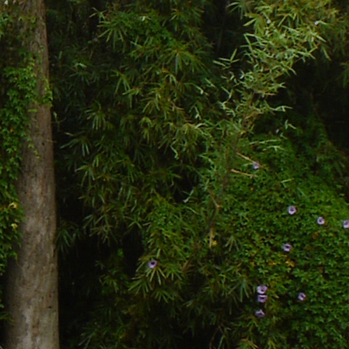 簡單分享玩具機身蓋 Olympus BCL-1580 改裝