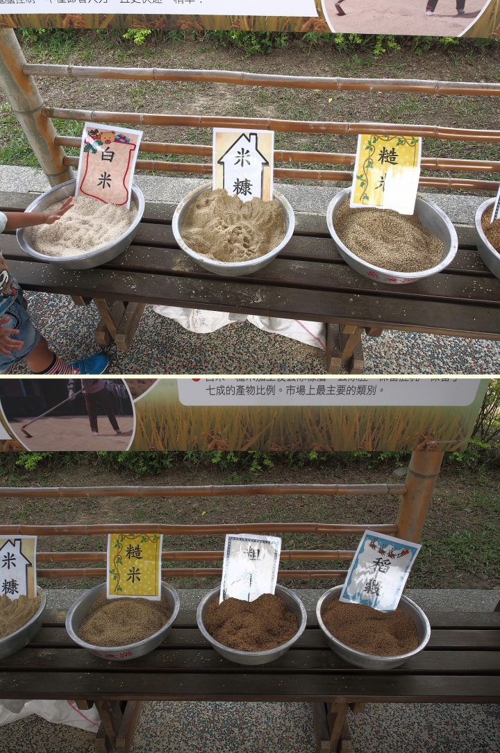 一起挺勵青,無米也快樂 — 《中華三菱,幸福返鄉,稻陣走》活動參加心得