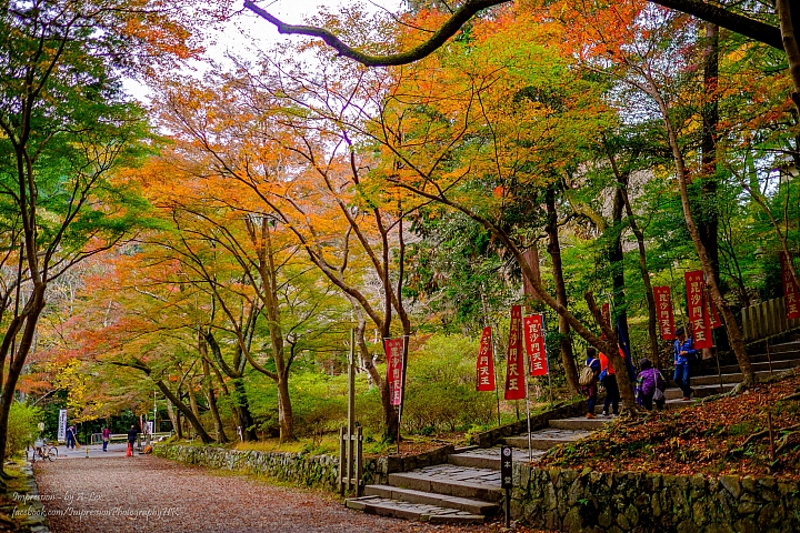 【京都楓.景】 市區篇 (X-T1)