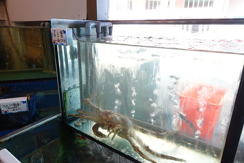 【食記】宜蘭蘇澳。富美活海鮮~平價新鮮的海鮮餐廳