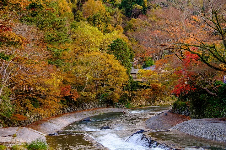 【京都楓.景】 近郊篇 (X-T1)