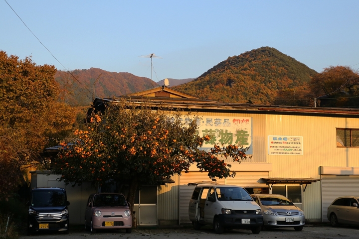 2016日本東北賞楓行(80D+EF17~40)