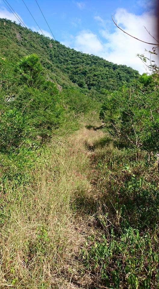 再探枋野中央號誌站
