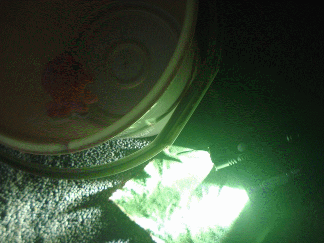 ACEBEAM M10 (AA) & EC60 (26650) 王牌特工