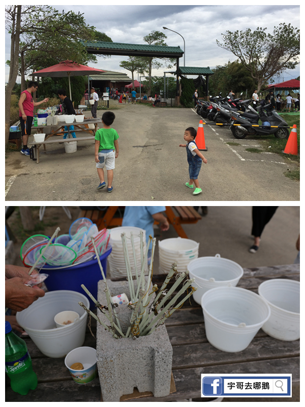 【宇哥去新竹】竹北的Go Bear溝貝親子休閒農莊,可釣蝦/釣魚/釣青蛙/餵兔子/滑草/玩沙坑/撈金魚/玩桌遊/烤肉/秤斤計價好適合小朋友
