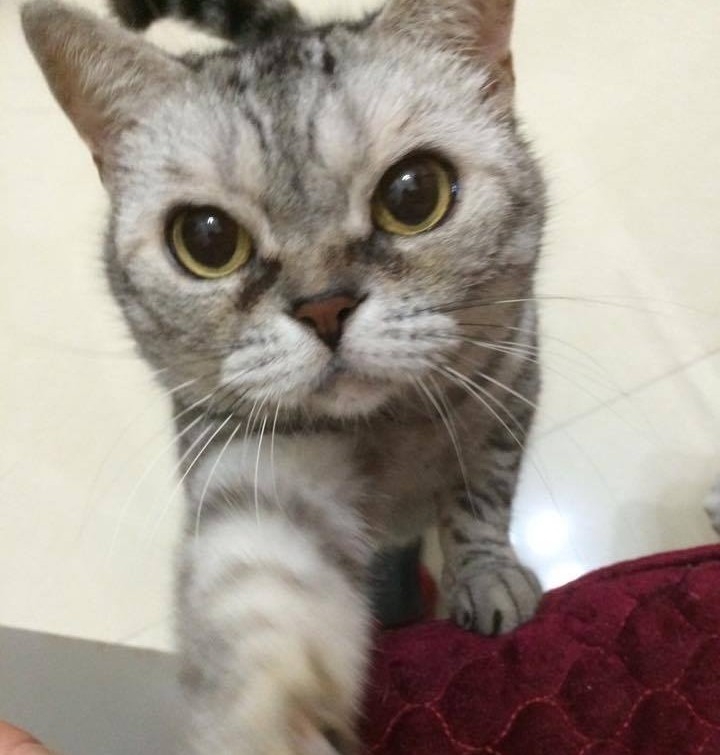 【開箱】楠梓透天舊屋翻修 - 老屋賦予新生命