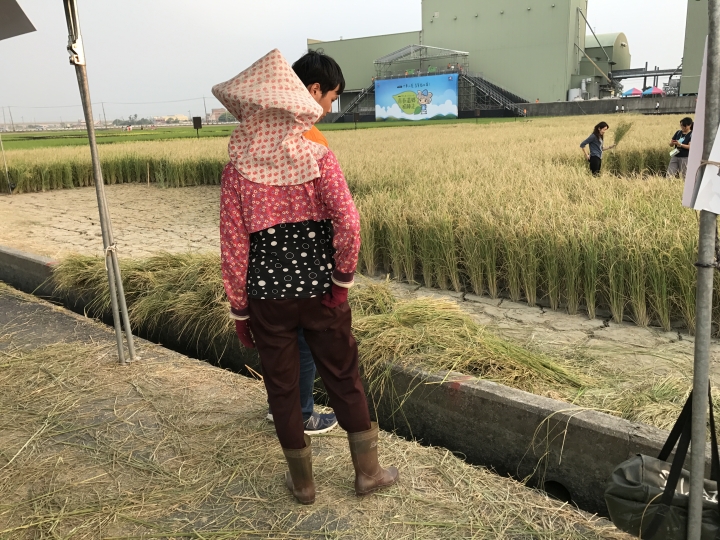 「中華三菱幸福返鄉稻陣走」之人犬半日遊