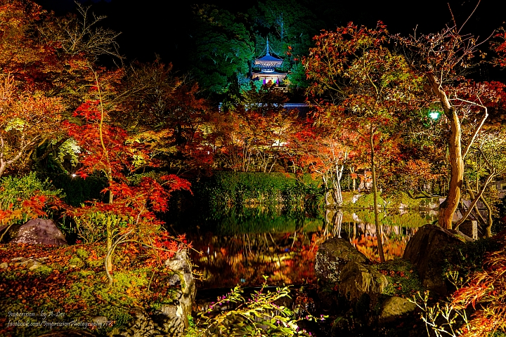 【京都楓.景】 市區篇 (X-T1)