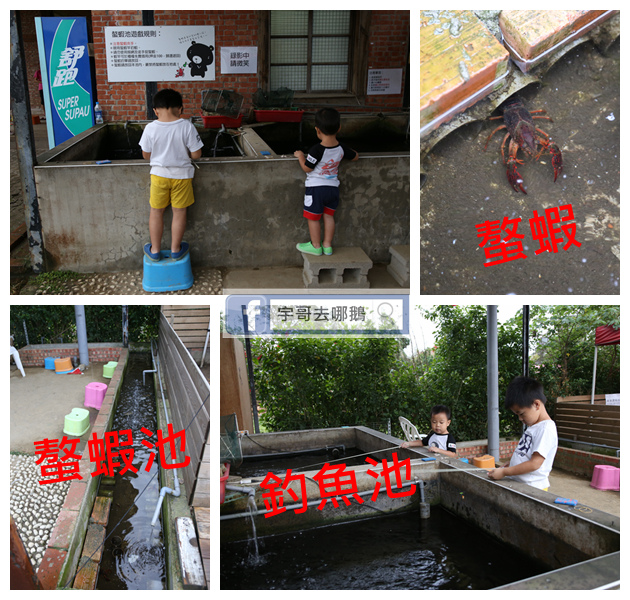 【宇哥去新竹】竹北的Go Bear溝貝親子休閒農莊,可釣蝦/釣魚/釣青蛙/餵兔子/滑草/玩沙坑/撈金魚/玩桌遊/烤肉/秤斤計價好適合小朋友