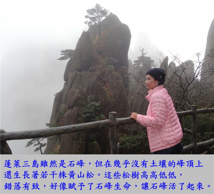 20161114 黃山遊 玉屏峰 天都峰