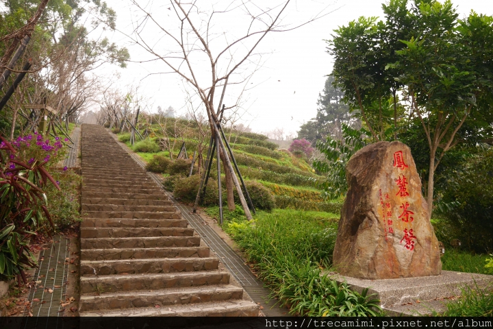 【旅遊-南投鹿谷】蟬說:鳳凰亭序-自然共舞的山林綠建築/玻璃屋下浪漫晚餐/台大鳳凰自然教育園區
