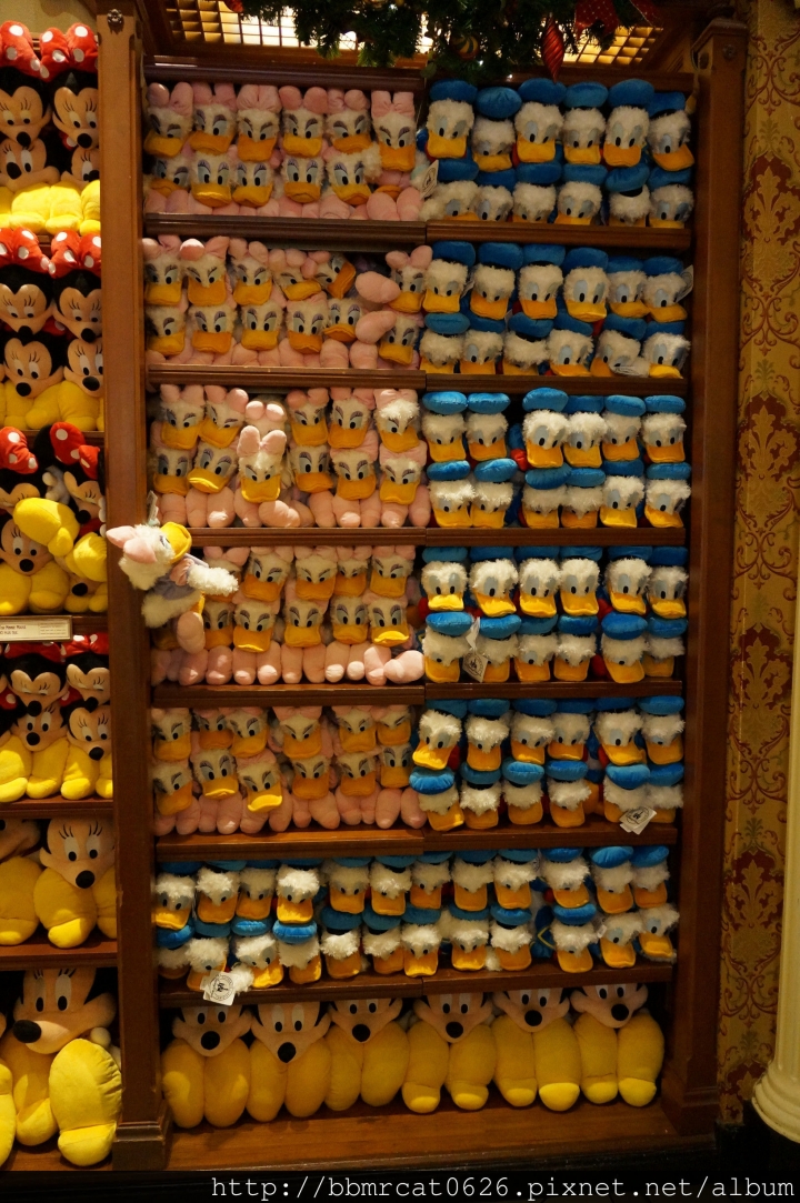 奧蘭多迪士尼世界 - Magic Kingdom 二訪之園區大解析 Part 2