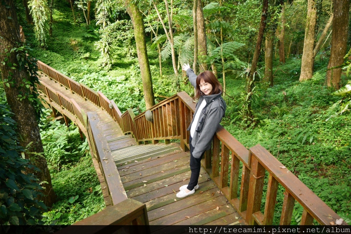 【旅遊-南投鹿谷】蟬說:鳳凰亭序-自然共舞的山林綠建築/玻璃屋下浪漫晚餐/台大鳳凰自然教育園區