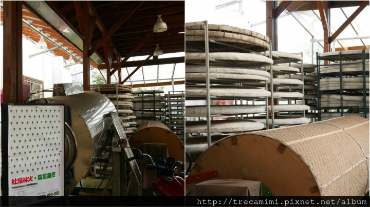 【旅遊-南投鹿谷】蟬說:鳳凰亭序-自然共舞的山林綠建築/玻璃屋下浪漫晚餐/台大鳳凰自然教育園區