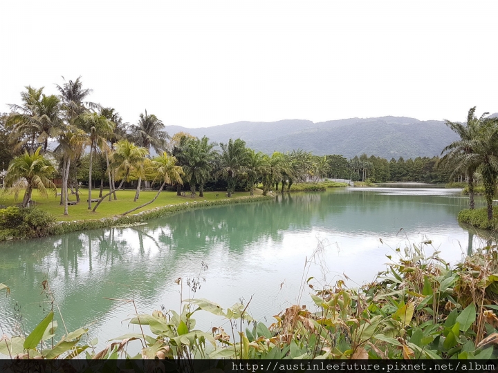 艾維士租車 福特Foucs EcoBoost 180 (7X) 花蓮兩日租車體驗
