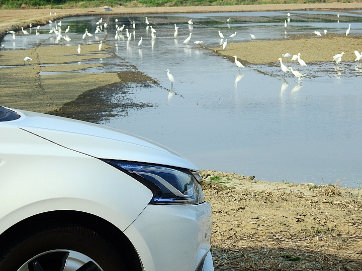 Luxgen S3第一次大型車聚在台南東成醬油會館