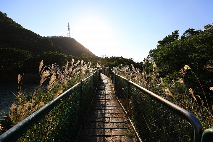 超廣角大三元再臨‧Canon EF 16-35mm f/2.8L III USM 實測分享!